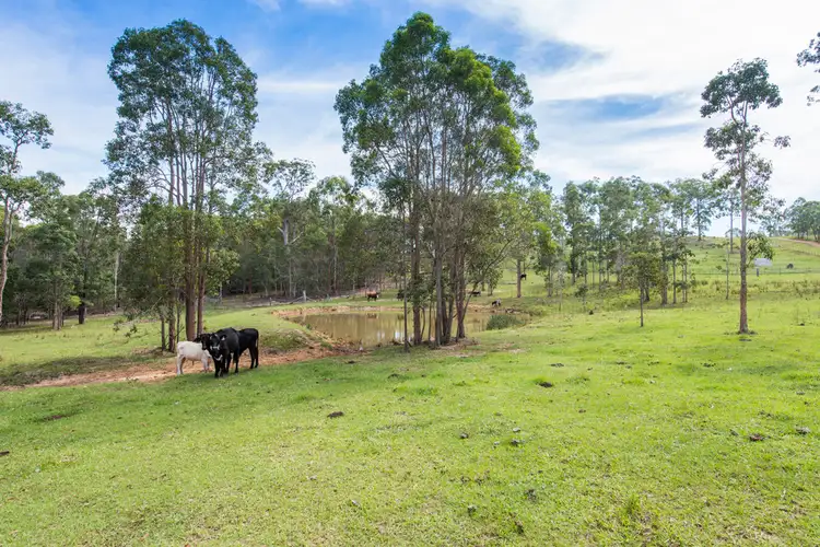 Third view of Homely rural property listing, 550 Tullymorgan Road, Lawrence NSW 2460