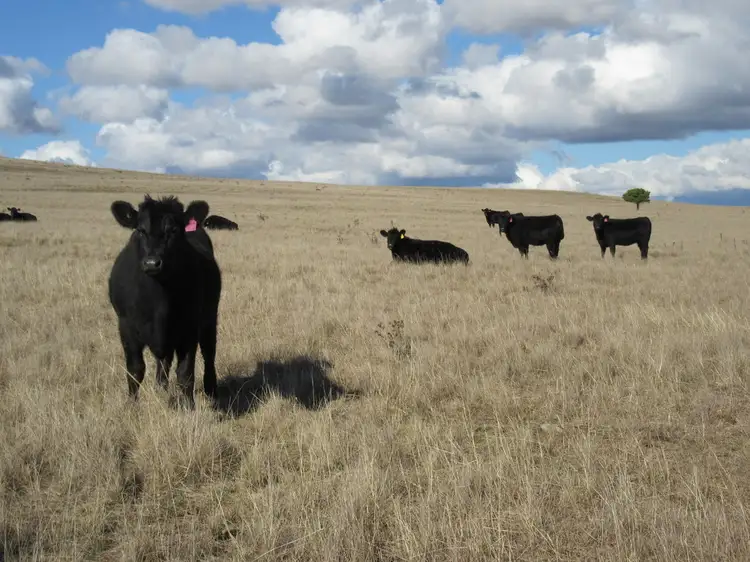 DP 1045736 Lot 1 Monaro Highway, Cooma NSW 2630