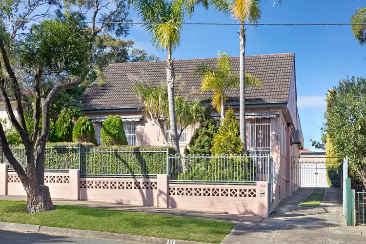 256 Holden Street, Ashbury NSW 2193