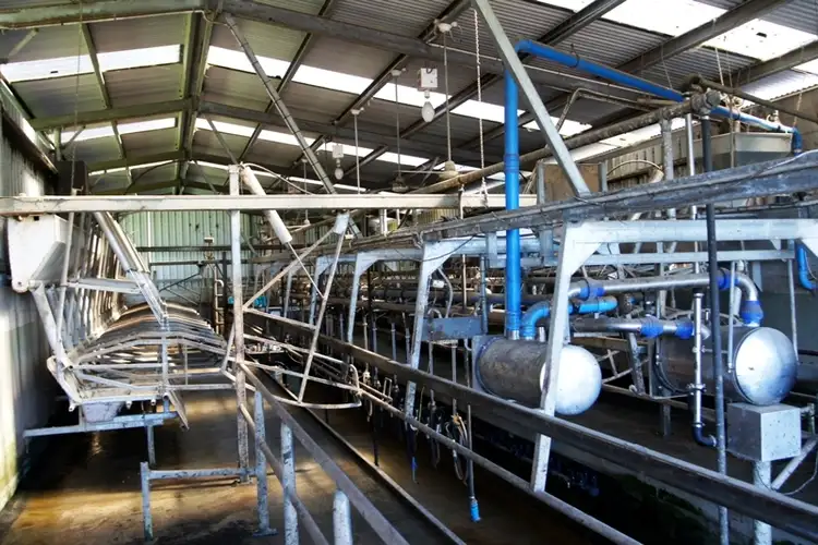 Seventh view of Homely rural property listing, 5583 Princes Highway, Boorcan VIC 3265