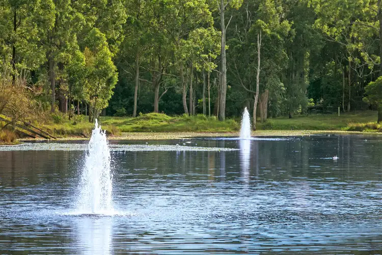 Sixth view of Homely rural property listing, 10 Giles Road, Woodville NSW 2321