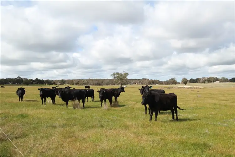 Main view of Homely land listing, CA 35 Beremboke Road, Beremboke VIC 3342