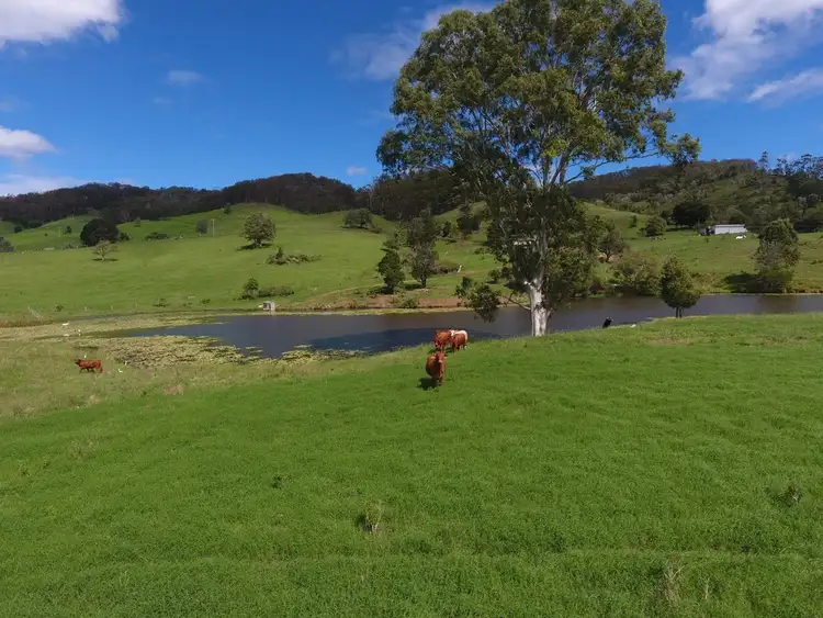 Fifth view of Homely rural property listing, 134 O'Meara Road, Downsfield QLD 4570