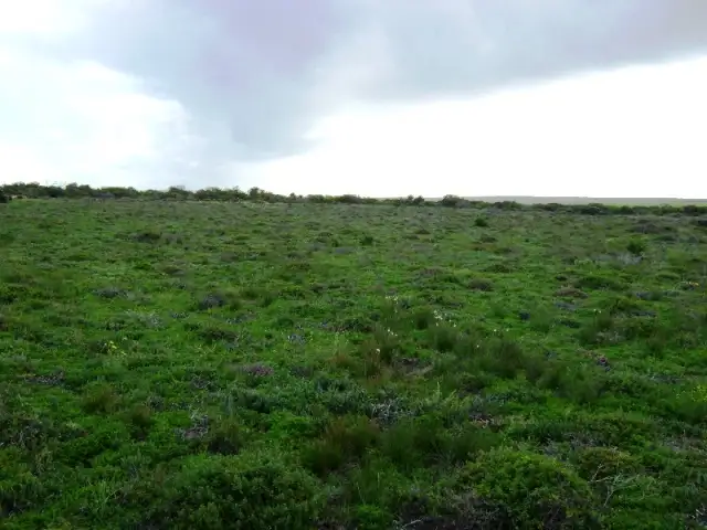 Fifth view of Homely land listing, Allotment 4 Blombery Road, Arno Bay SA 5603