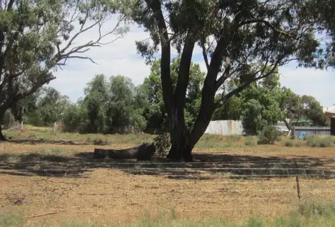 Main view of Homely land listing, 42-44 Devlin St, Matong NSW 2652