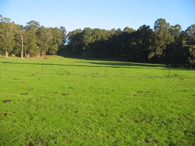 Lot 1393 Ferguson Road, Wellington Mill WA 6236