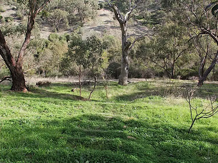 Fifth view of Homely land listing, .25 Argyll Walk, Bellevue Heights SA 5050