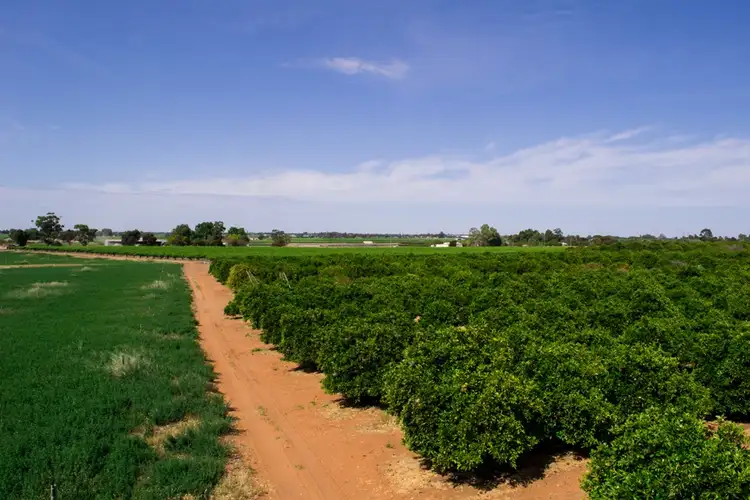 Seventh view of Homely land listing, - Derrick Road, Loxton SA 5333