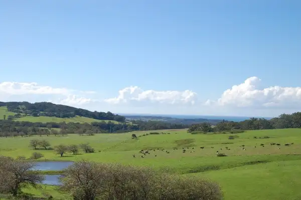 Main view of Homely rural property listing, Lot 12 "Croome Vale" Jamberoo Road, Jamberoo NSW 2533