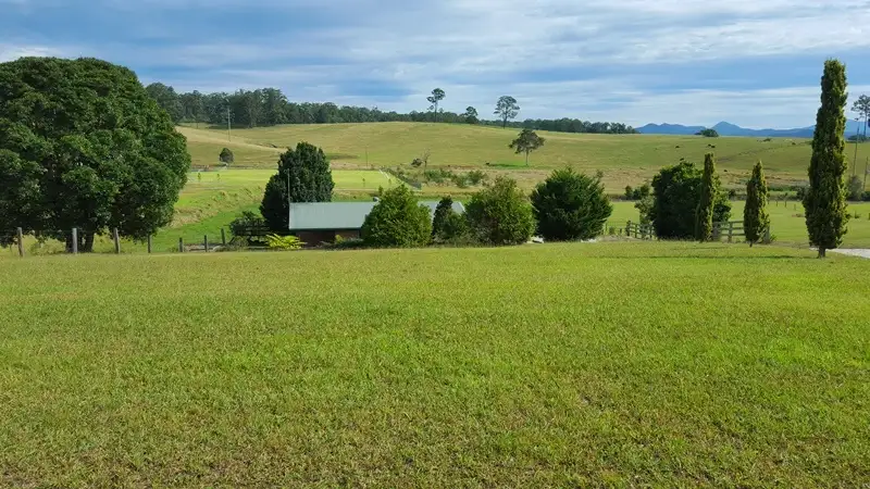 Main view of Homely house listing, 14 Lloyd Street, Macksville NSW 2447