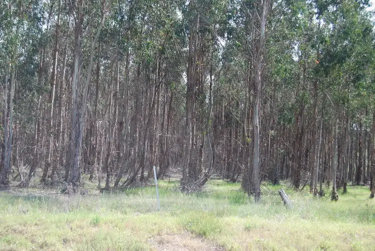 Third view of Homely rural property listing, CA19, Sec 1 Munro-Stockdale Road, Munro VIC 3862
