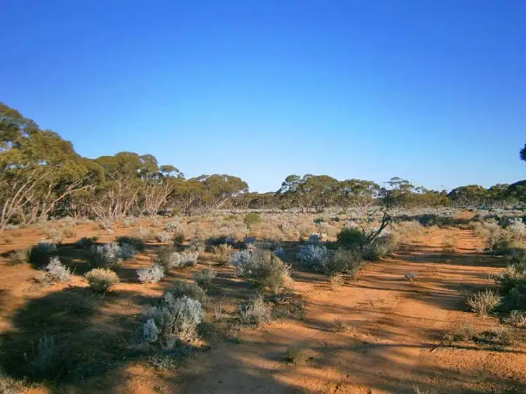Fifth view of Homely rural property listing, Lot 252 Twill Road, Morgan SA 5320