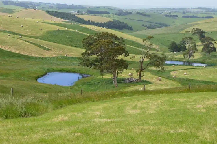 Fourth view of Homely rural property listing, Lot 4 Craig Road, Glen Forbes VIC 3990