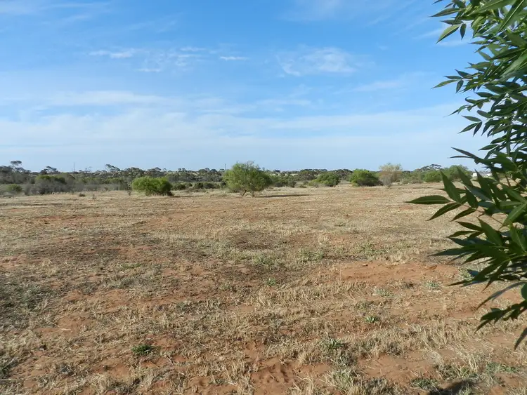 Third view of Homely rural property listing, Section 75 Moss Road, Monash SA 5342