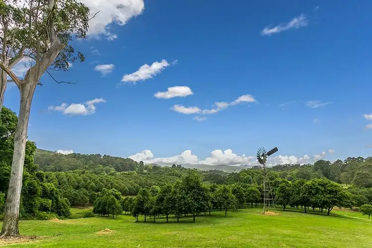 Sixth view of Homely rural property listing, # 191 Repentance Creek Road, Rosebank NSW 2480