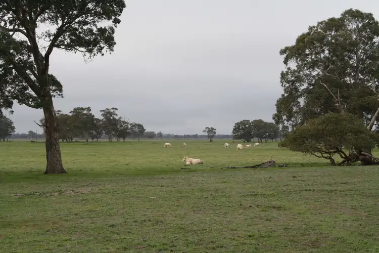 Third view of Homely rural property listing, 2097 Lucindale Road, Naracoorte SA 5271