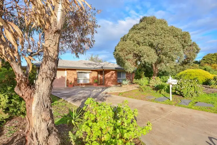 63 Caffrey Street, Mclaren Vale SA 5171
