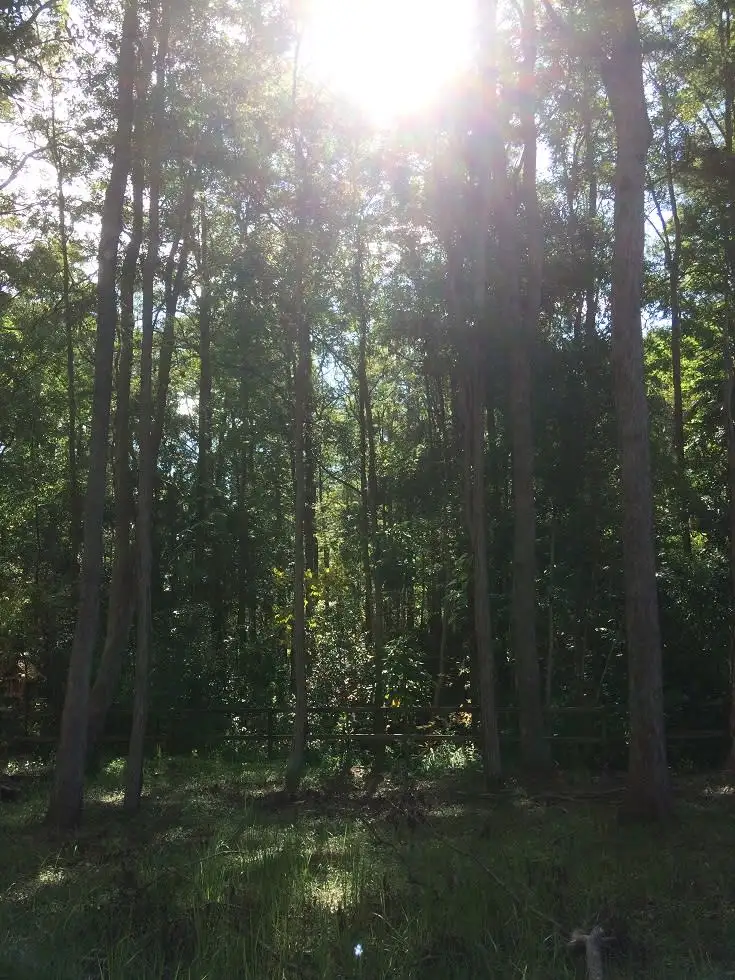 Seventh view of Homely land listing, Lot 9 / 34 Summit Road, Pomona QLD 4568