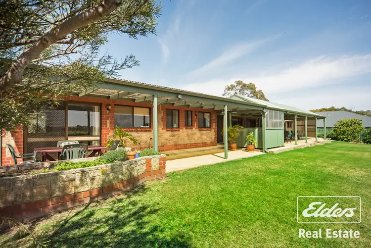 Fifth view of Homely house listing, 19 Denholm Court, Lyndoch SA 5351