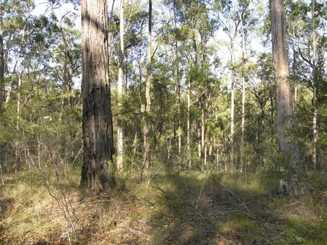 Fifth view of Homely rural property listing, 555 Ramornie Station Road, Ramornie NSW 2460