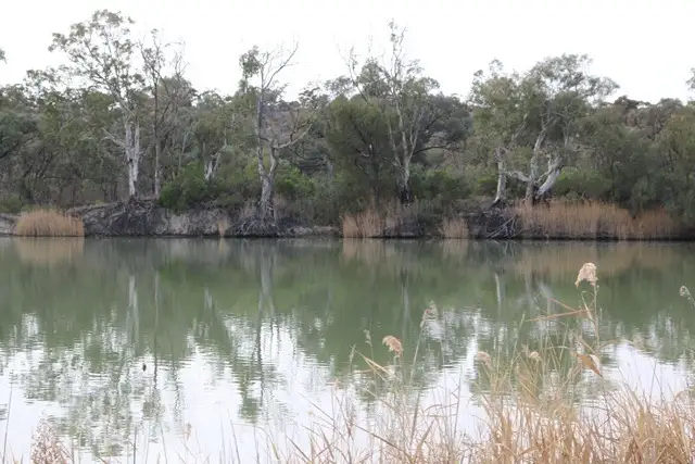 Second view of Homely house listing, 87 Brenda Park Shack Road, Morgan SA 5320