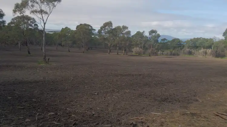 Fifth view of Homely house listing, 274 Badger Corner Road, Lady Barron TAS 7255