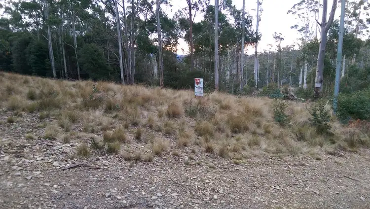 Main view of Homely rural property listing, Lot 5/600 Mount Barrow Rd, Nunamara TAS 7259