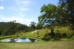 Second view of Homely rural property listing, Lot 4 Armidale Road, Bellbrook NSW 2440