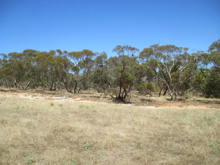 Fourth view of Homely rural property listing, Lot 59 Hunter Road, Younghusband SA 5238