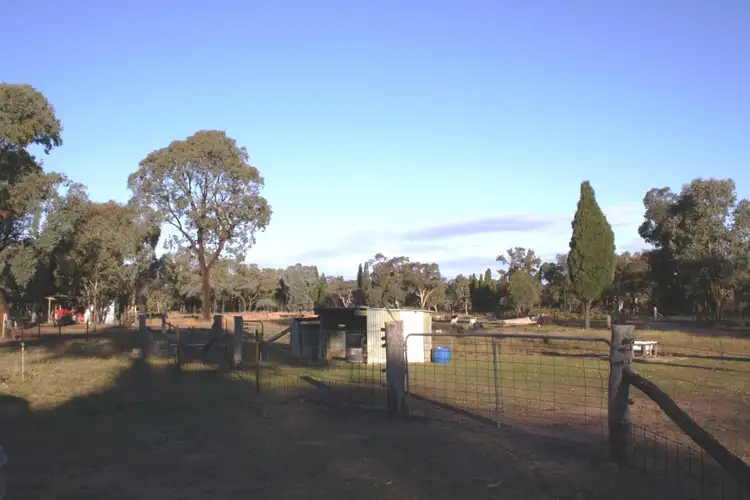 Seventh view of Homely rural property listing, 98 Pine Close, Mudgee NSW 2850