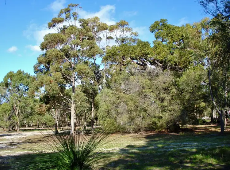 Main view of Homely land listing, Lot 4 Cornerstone Way, Quedjinup WA 6281