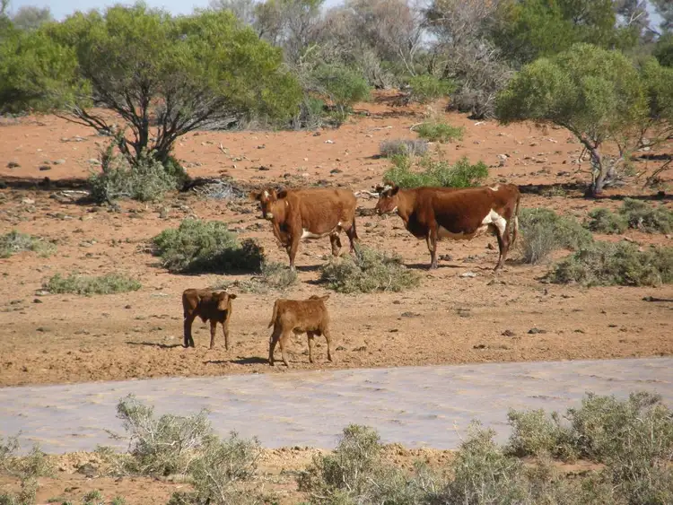 Third view of Homely rural property listing, Address available on request