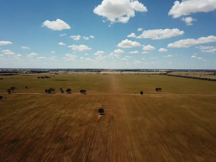 Main view of Homely rural property listing, - 'Kolkibertoo', West Wyalong NSW 2671