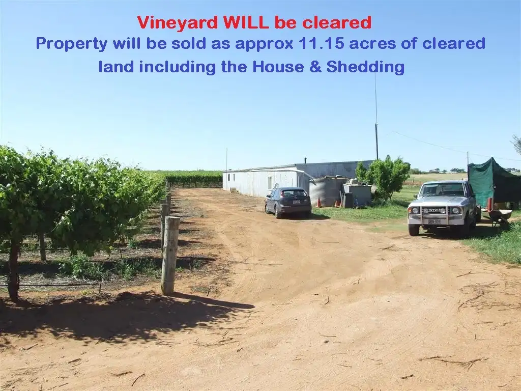 Main view of Homely rural property listing, 266 Old Cooltong Road, Renmark SA 5341