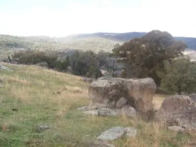 Second view of Homely rural property listing, 00 Foggs Crossing, Bigga NSW 2583