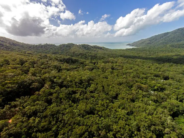 Fourth view of Homely land listing, 233 White Beech Rd, Daintree QLD 4873
