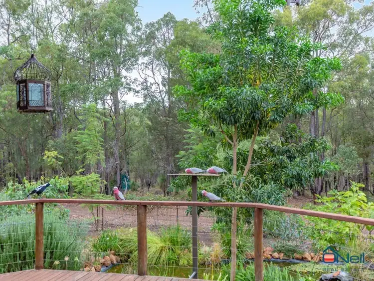 Second view of Homely house listing, 31 Hibbertia Court, Jarrahdale WA 6124