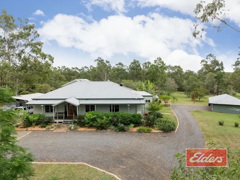 Main view of Homely house listing, 19 Damper Court, Jimboomba QLD 4280
