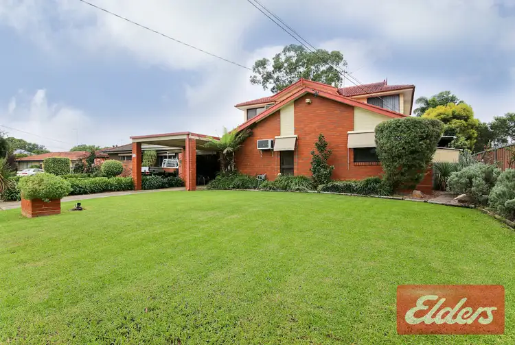16 Vianney Crescent, Toongabbie NSW 2146