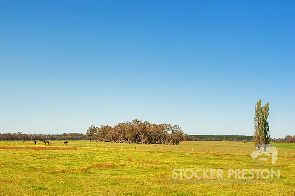 Second view of Homely rural property listing, 1580 Rosa Brook Road, Rosa Brook, Margaret River WA 6285