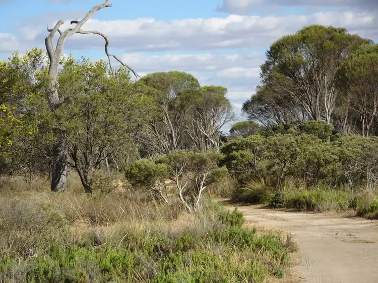 Second view of Homely rural property listing, 649 Bullock Hills Road, Wagin WA 6315