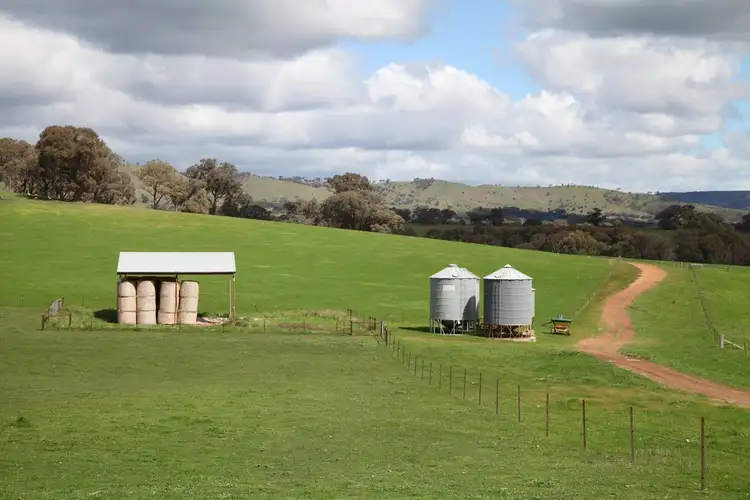 Third view of Homely rural property listing, 1030 Kobyboyn Road, Whiteheads Creek VIC 3660