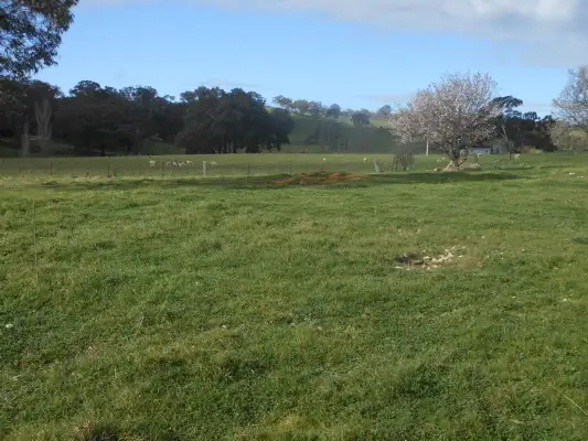Fifth view of Homely house listing, 2244 Murringo Road, Murringo NSW 2586