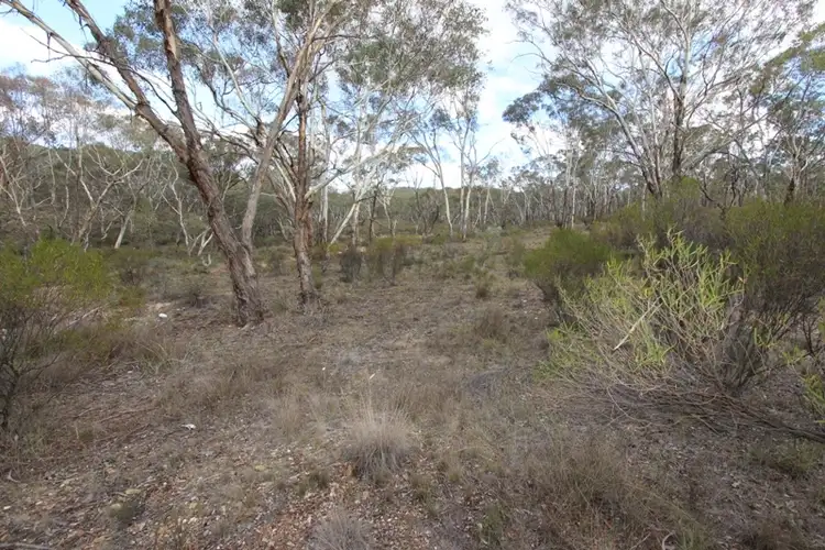 Second view of Homely rural property listing, 1546 Sofala Road, Peel NSW 2795