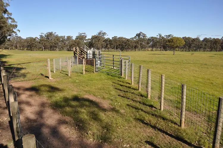 Fifth view of Homely rural property listing, 345 Angle Rd, Murchison VIC 3610