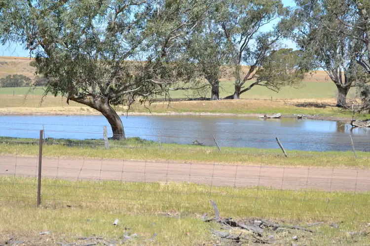 Fifth view of Homely rural property listing, 873 Willaura-Wickliffe Road, Willaura VIC 3379