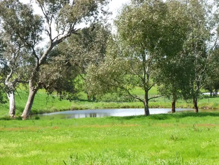 Third view of Homely rural property listing, 598 Glenellen Road, Jindera NSW 2642