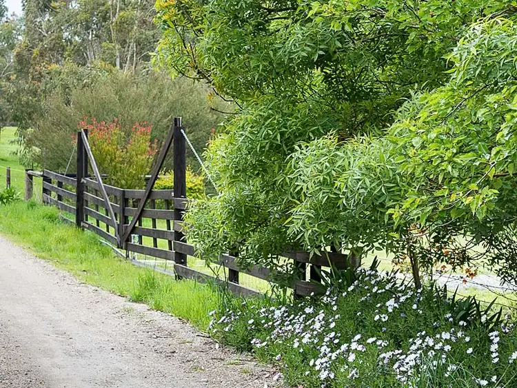 Fifth view of Homely land listing, 98 Lacey Road, Bugle Ranges SA 5251