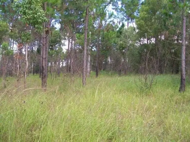 Third view of Homely land listing, Lot 52 Arborfour Road, Glenwood QLD 4570