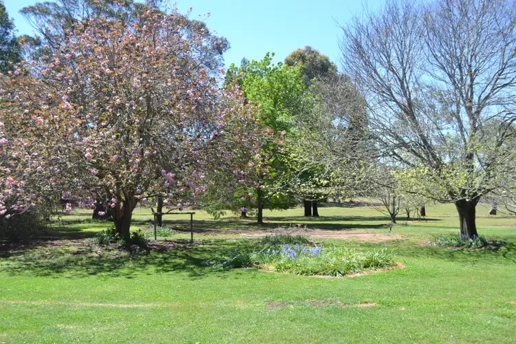 Second view of Homely rural property listing, 3053 Canyonleigh Rd, Sutton Forest NSW 2577